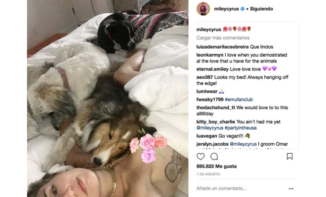 Descubre si es bueno dormir con tu perro en el dormitorio Descubre si es bueno dormir con tu perro en el dormitorio