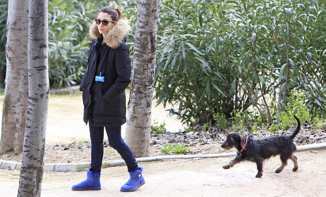 Los perros más famosos de las celebrities de la A a la Z Los perros más famosos de las celebrities de la A a la Z