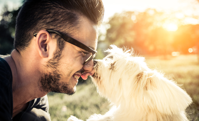 Esto es lo que debes aprender de tu perro para ser más feliz Esto es lo que debes aprender de tu perro para ser más feliz