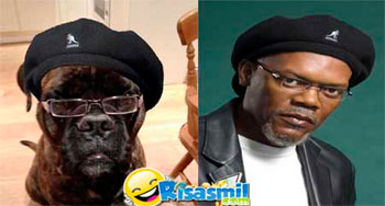 No está nada mal parecerte a una estrella de Hollywood. 