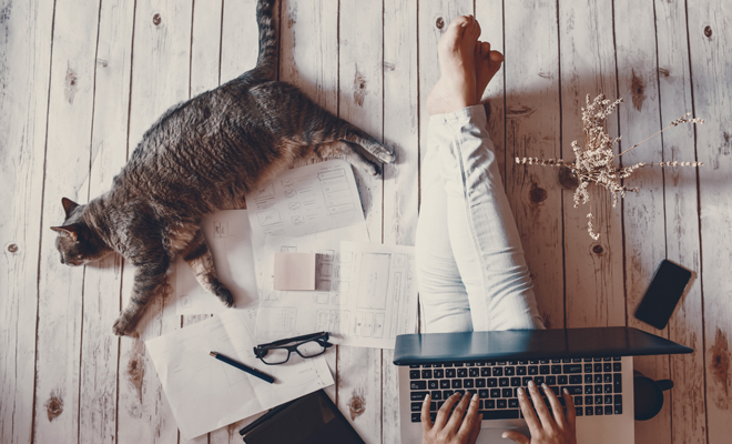 Frases para el Día del Gato Frases para el Día del Gato