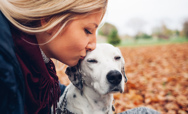 El horóscopo para perros te dice cómo es tu cachorro El horóscopo para perros te dice cómo es tu cachorro