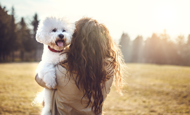 La forma de ser de cada perro según su signo La forma de ser de cada perro según su signo