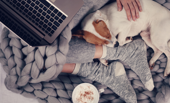 ¿Conoces bien a tu perro? El horóscopo para mascotas te ayuda ¿Conoces bien a tu perro? El horóscopo para mascotas te ayuda