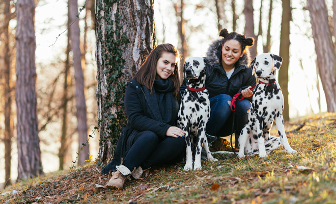 El horóscopo de los signos y los perros El horóscopo de los signos y los perros