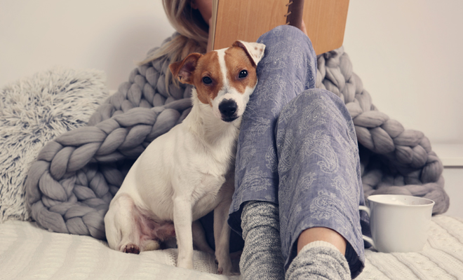 Los mejores nombres para perros machos Los mejores nombres para perros machos