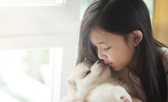 Los mejores nombres de perros para tu cachorro recién llegado