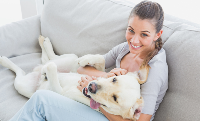 Aquí tienes 24 exóticos nombres para perros en árabe Aquí tienes 24 exóticos nombres para perros en árabe