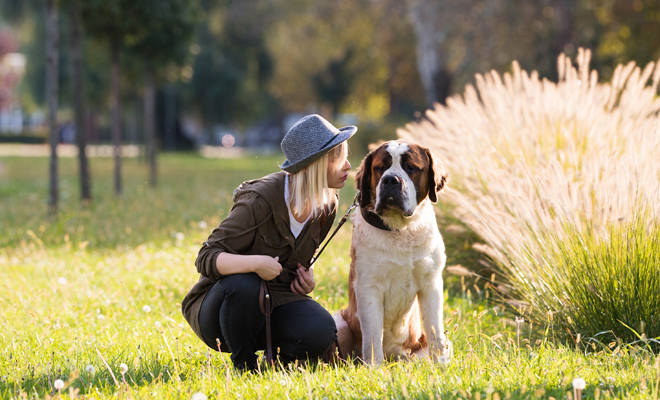 Toma nota de estos nombres para mascotas en árabe Toma nota de estos nombres para mascotas en árabe