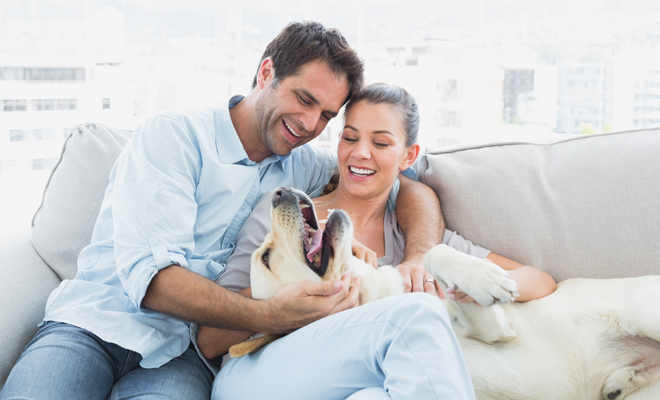 Bonitas ideas para llamar a tu perro