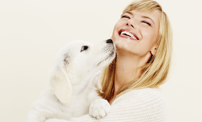 ¿Tienes un perro blanco? Estos nombres le pegan mucho