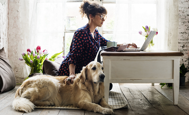 Nombres bonitos para perros grandes