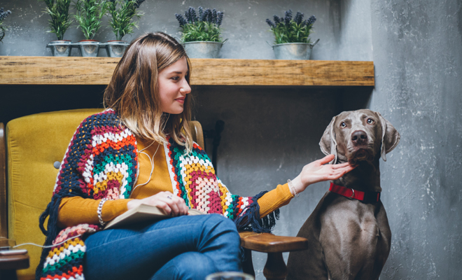 Las mejores ideas de nombres para tu perro Las mejores ideas de nombres para tu perro