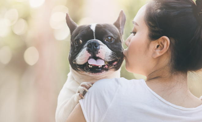 Cuidados para mascotas frente al calor