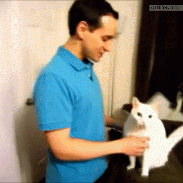 Abrazo de un gato Abrazo de un gato