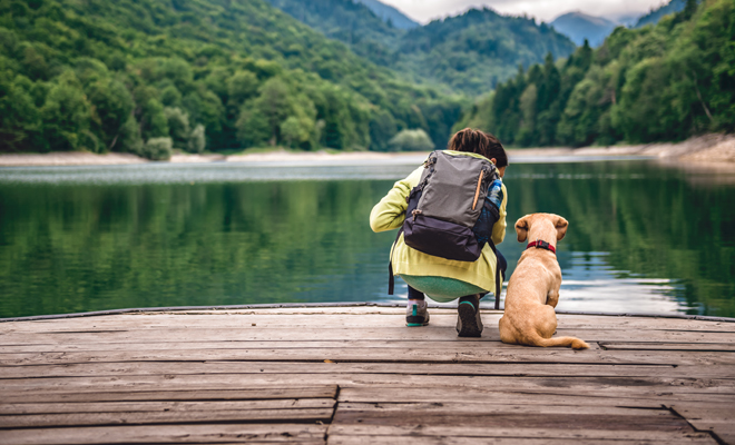 El mejor perro para ti, según este test El mejor perro para ti, según este test