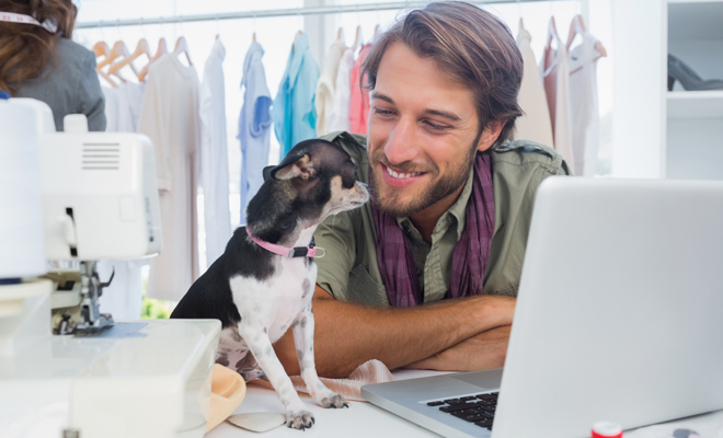 Los perros y los gatos en la oficina Los perros y los gatos en la oficina