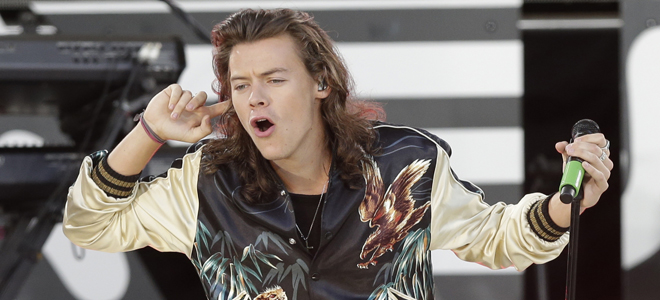 Larry, el secreto de One Direction