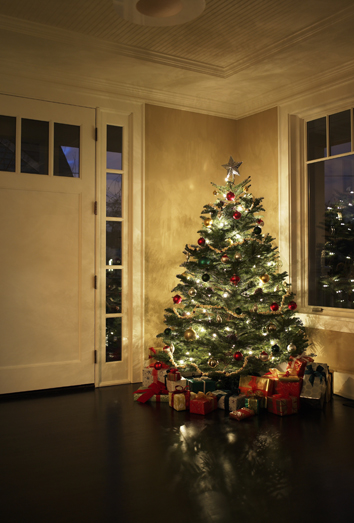 10 maneras de pasar la Navidad de forma diferente Planes diferentes para la época navideña