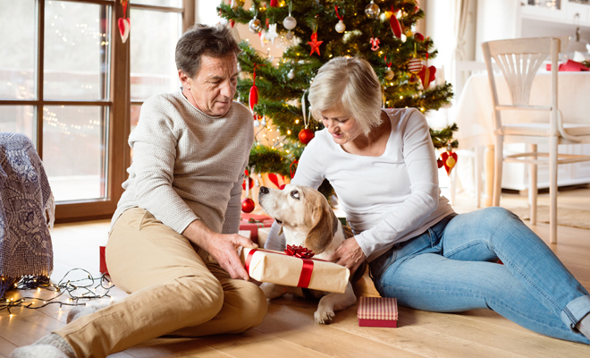 Regalar una mascota por Navidad