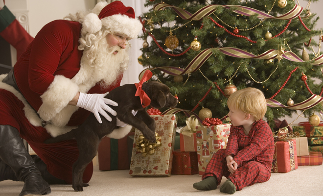 Regalar una mascota por Navidad