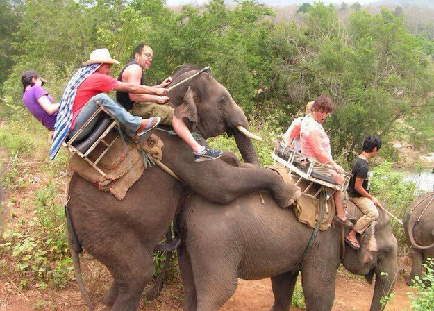 medio de transporte No deberían haberse levantado