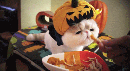 peso Halloween y Navidad