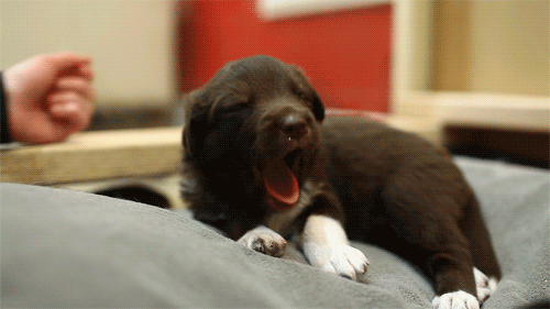 Cosas que subirán tu autoestima