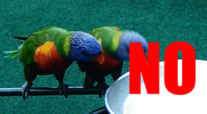 Al lado de la ventana Problemas de ansiedad