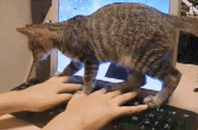 Mascota Frases que estresan