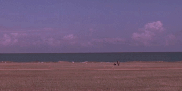 Visita de una amiga El estrés de los peluqueros