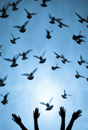 Significado de soñar con libertad