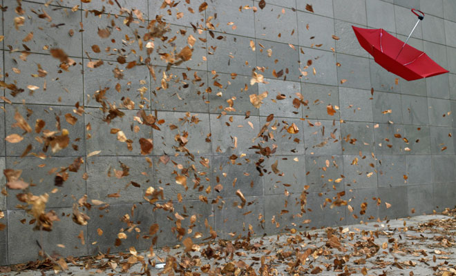 Qué significa soñar con un vendaval Qué significa soñar con un vendaval