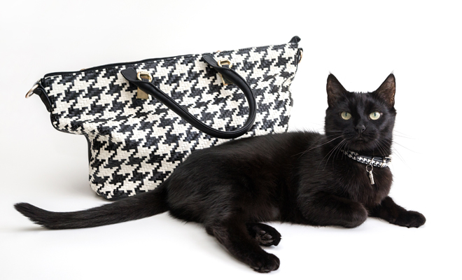 Que no te dé miedo soñar con la mala suerte: significado de los nuevos negativos 