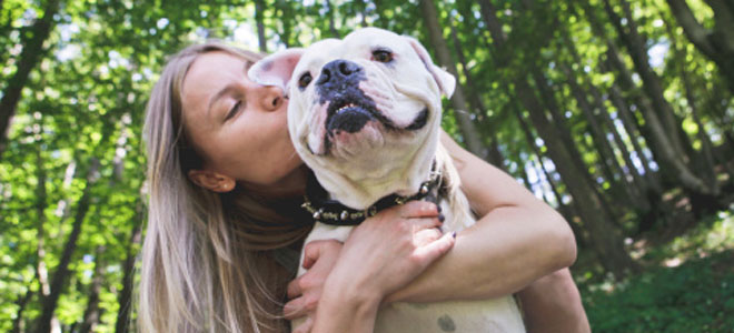 Mascotas para superar la depresión