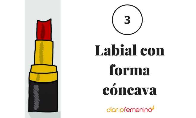 Labial con forma cóncava