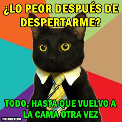 Vagos como animales de compañía