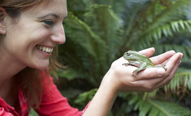 La rana y la buena suerte en la vida