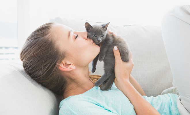 ¿Dan buena suerte los gatos?