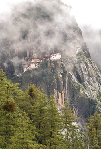 ladrones de energía según dalai lama