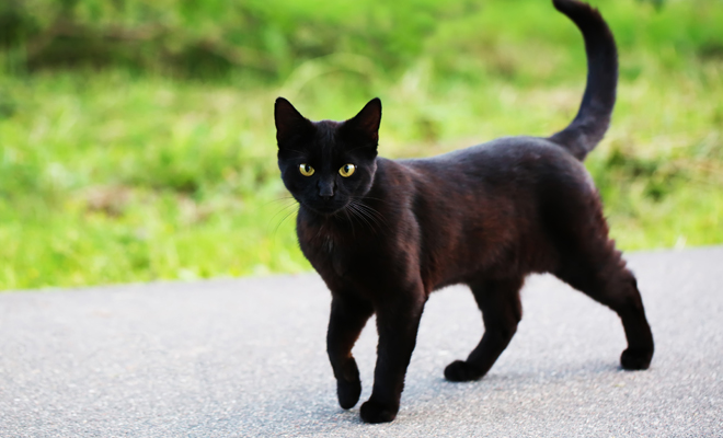 edades mala suerte en hombres y mujeres edades mala suerte en hombres y mujeres