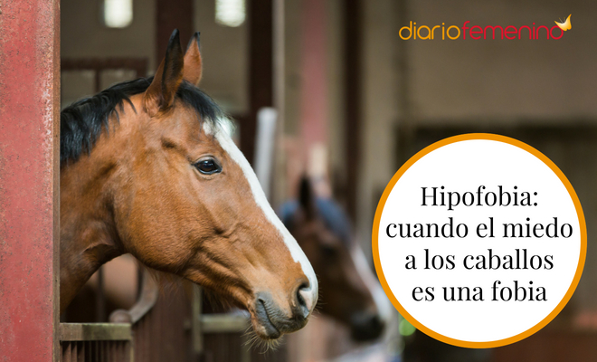 El miedo a los caballos se llama hipofobia o equinofobia El miedo a los caballos se llama hipofobia o equinofobia