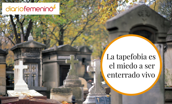 Qué es la tapefobia o el miedo a ser enterrado vivo Qué es la tapefobia o el miedo a ser enterrado vivo