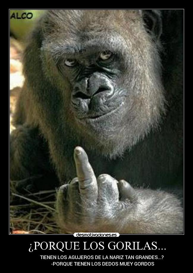 Dedos gordos en la nariz