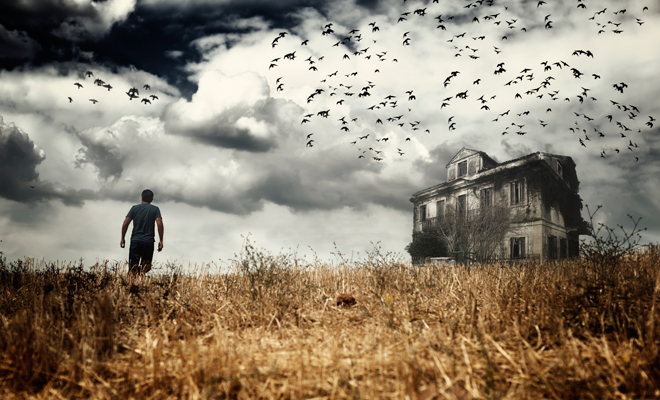 Cómo superar la ornitofobia