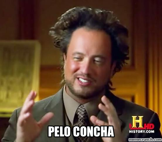 Pelo concha