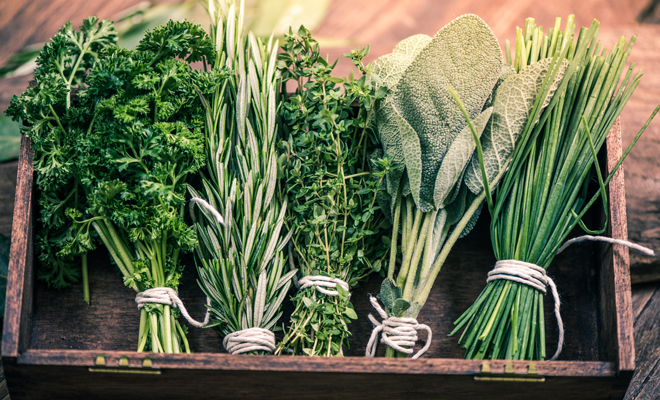 ¿Has oído hablar de la fitoterapia para luchar contra el estrés? ¿Has oído hablar de la fitoterapia para luchar contra el estrés?