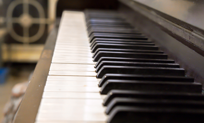 La fitoterapia como remedio alternativo para el estrés La fitoterapia como remedio alternativo para el estrés