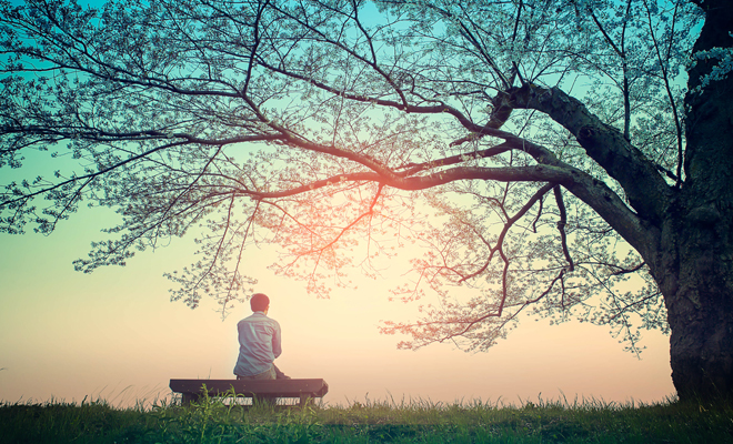 Los signos más tranquilos del horóscopo: Tauro