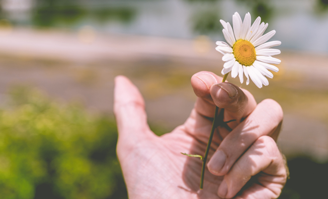 Qué significa soñar con dejar de fumar Qué significa soñar con dejar de fumar